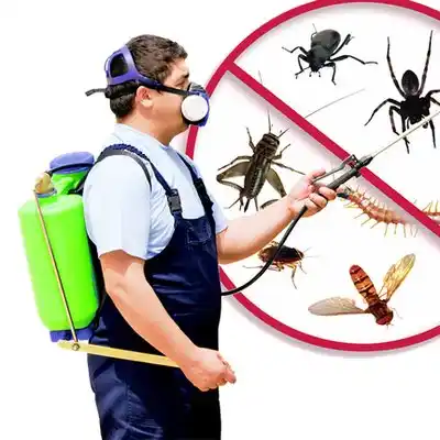 pest control Hughesville